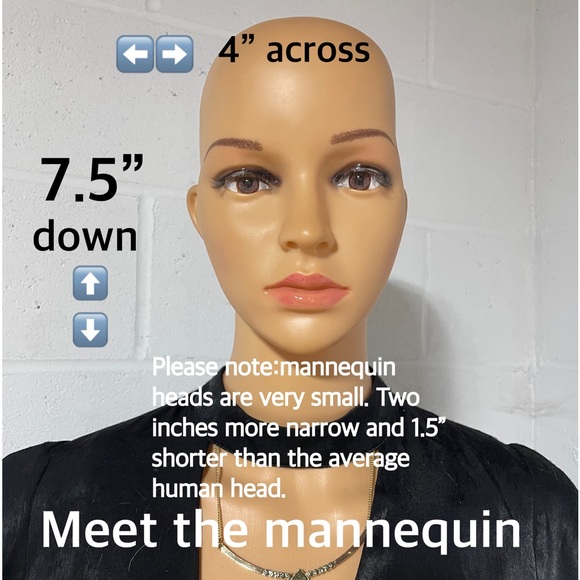 NWT 14” mixed browns wig highlighted dark brown long bangs sleek full rounded - Picture 10 of 16